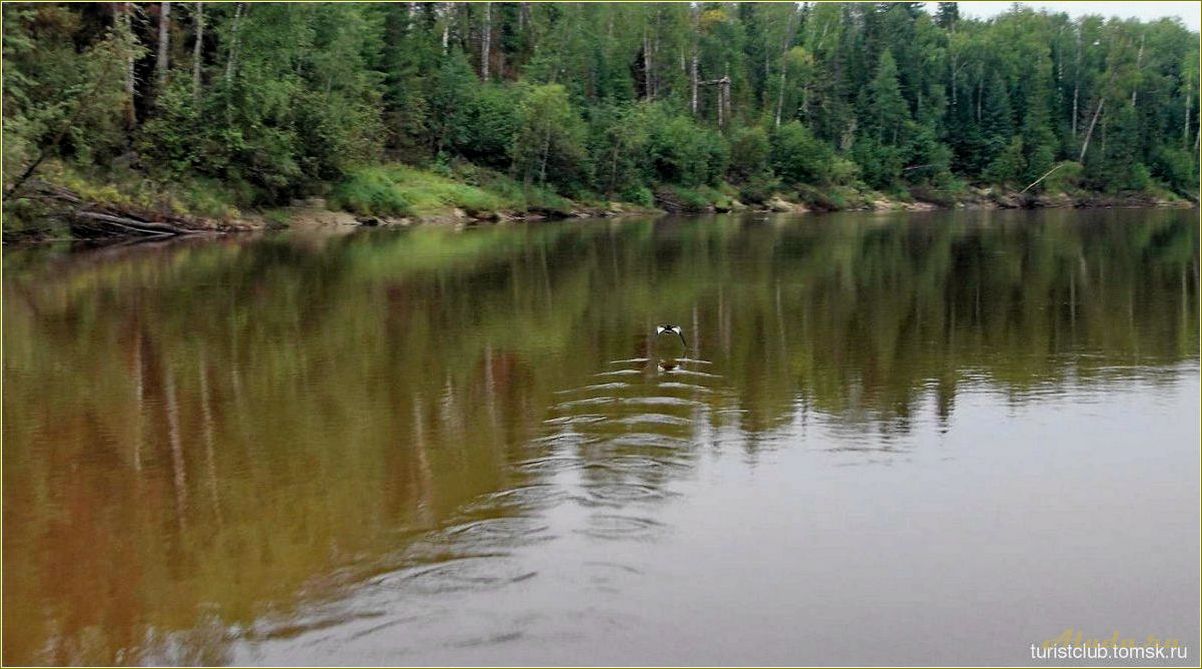 База отдыха в Орловке Томской области: комфорт и природа в одном месте