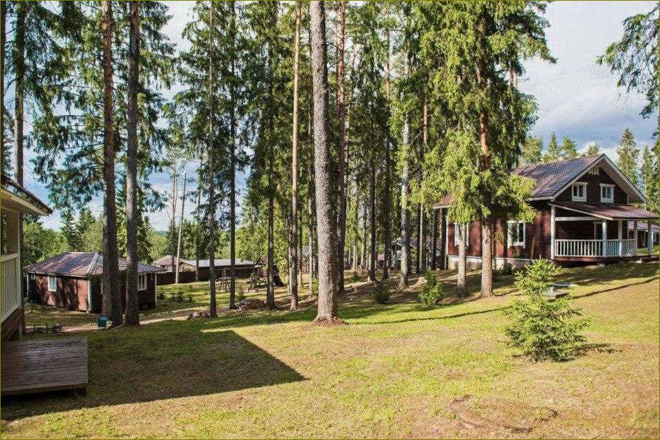 База отдыха и турбазы Новгородской области — отдых на природе, уникальные достопримечательности и комфортные условия