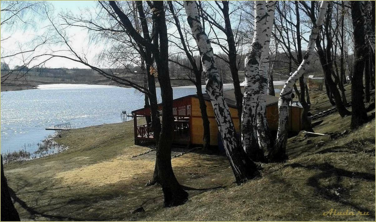 Отдых на базе отдыха в Михайлове Рязанской области — прекрасная возможность насладиться природой и комфортом