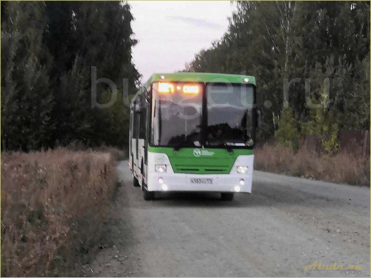 Базы отдыха Челябинской области на автобусе: отличный способ провести время на природе