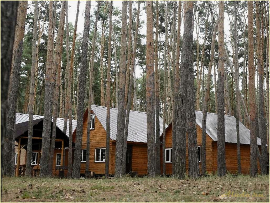 Базы отдыха в Тамбове и Тамбовской области: аренда домиков