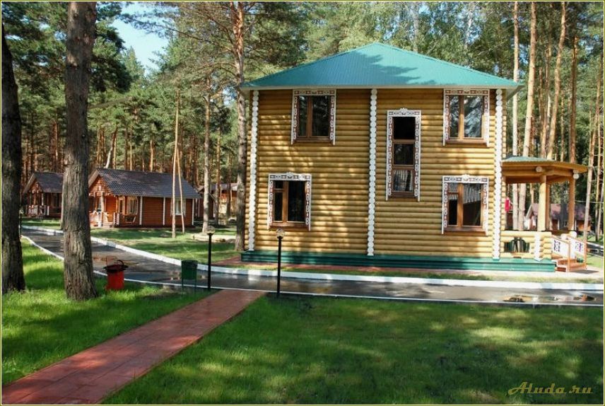 На базе отдыха в Самарской области открылись новые сосны — идеальное место для семейного отдыха