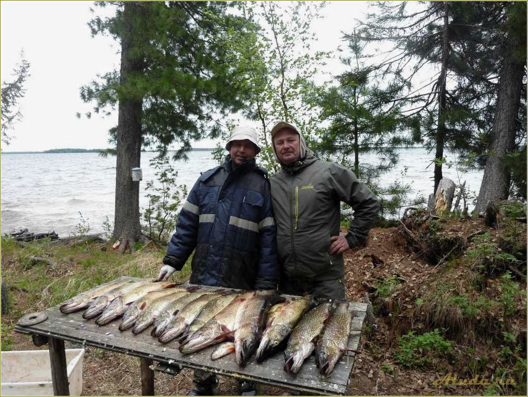 Отдых на рыбалке в Томской области