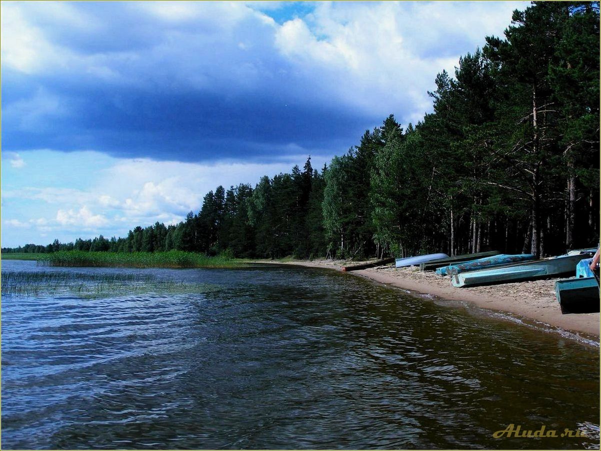 Отдых в Псковской области на озере — отзывы о базах отдыха, услугах и развлечениях