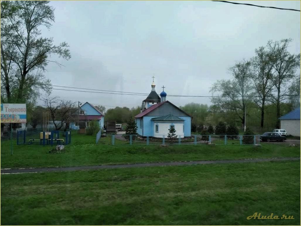 Отдых в Тырново — откройте для себя красоту Рязанской области