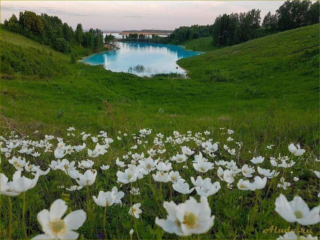 Путешествие в мир красоты — откройте для себя живописные уголки новосибирской области