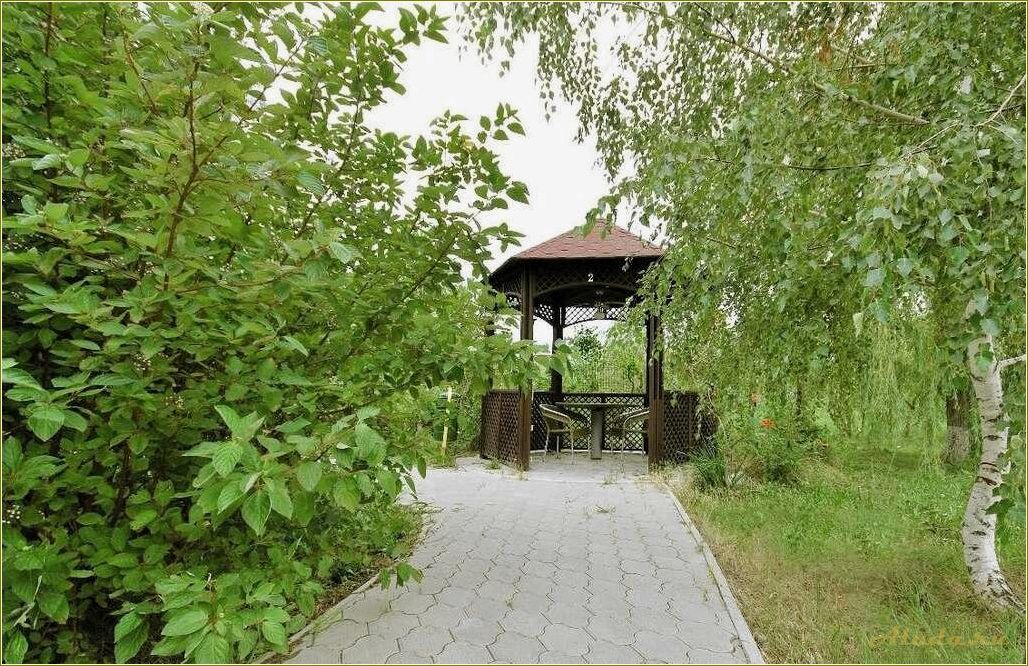 13 кардон база отдыха Ростовская область — идеальное место для отдыха в природе