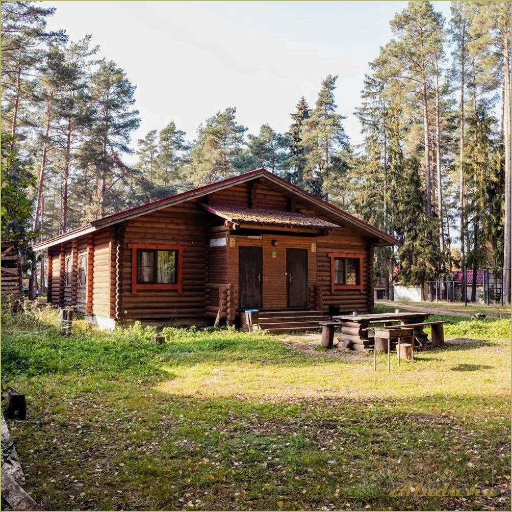 База отдыха в Псковской области — выбор из 999 мест, где можно отдохнуть на любой вкус!