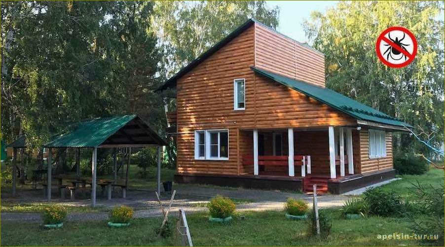 База отдыха в Кормиловке Омской области — идеальное место для семейного отдыха и активного времяпрепровождения