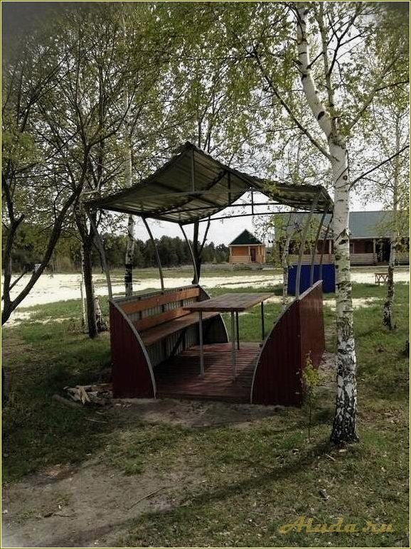 База отдыха в Сосновке, Кузнецкий район, Пензенская область — отличное место для семейного отдыха и активного времяпрепровождения