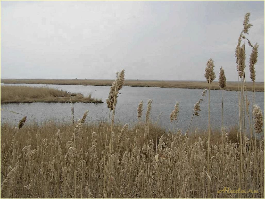 База отдыха на живописном Веселовском водохранилище в Ростовской области — идеальное место для отличного отдыха!