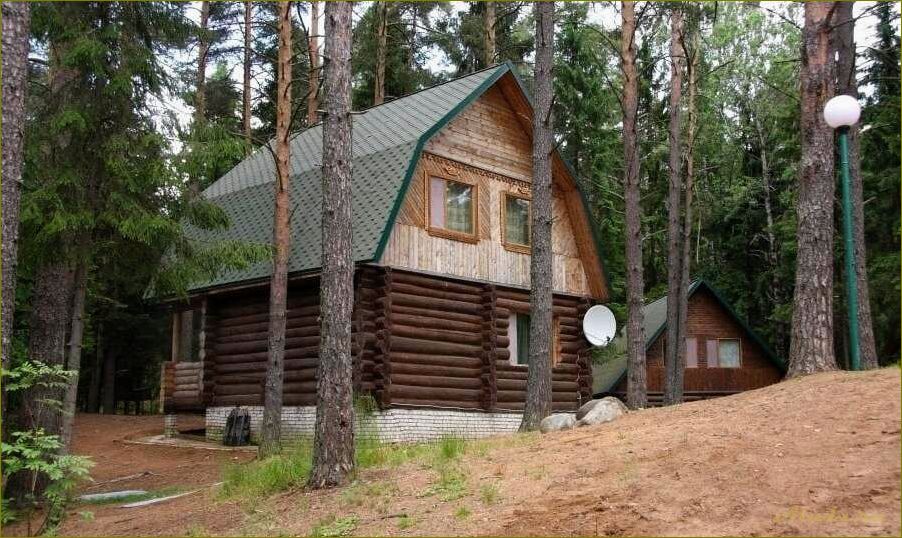 База отдыха в деревне Шуя, Валдайский район, Новгородская область, Россия — идеальное место для отдыха в природе