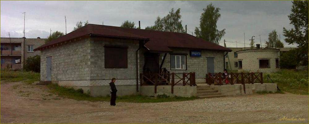 База отдыха в деревне Шуя, Валдайский район, Новгородская область, Россия — идеальное место для отдыха в природе