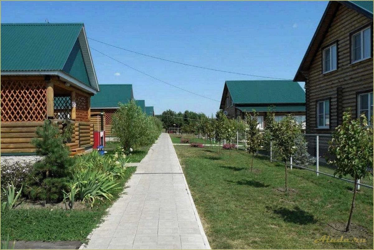 База отдыха в Сосновке, Кузнецкий район, Пензенская область — отличное место для семейного отдыха и активного времяпрепровождения