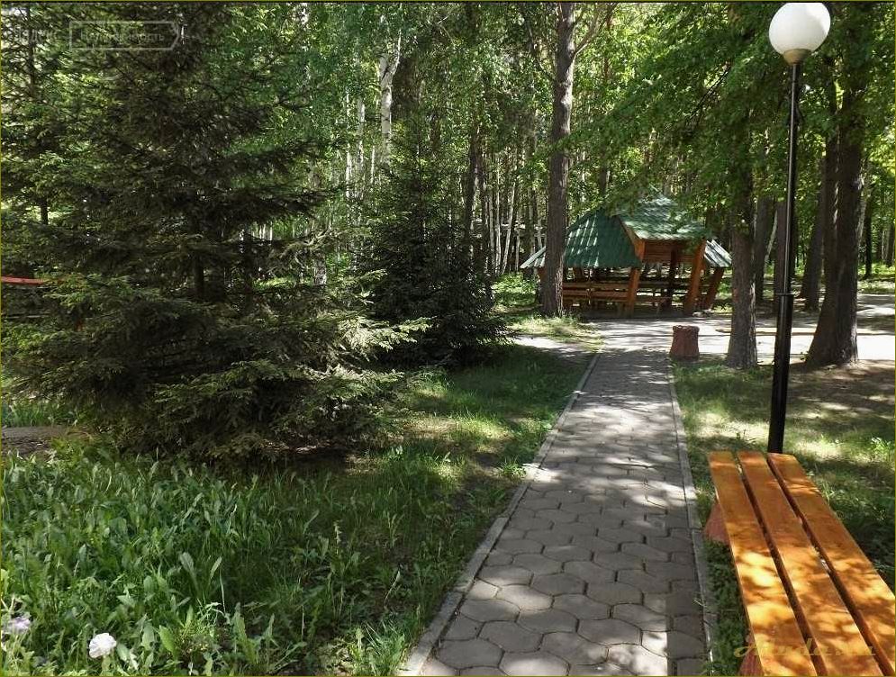 Прекрасные базы отдыха в живописном подгородке Омской области, где можно насладиться природой и отдохнуть от городской суеты