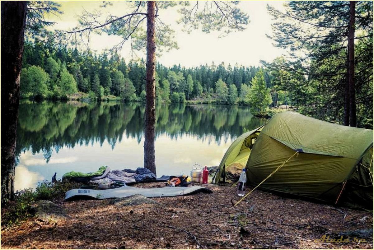 Лучшие места для отдыха с палаткой в Пензенской области, где вы сможете насладиться природой и полностью расслабиться