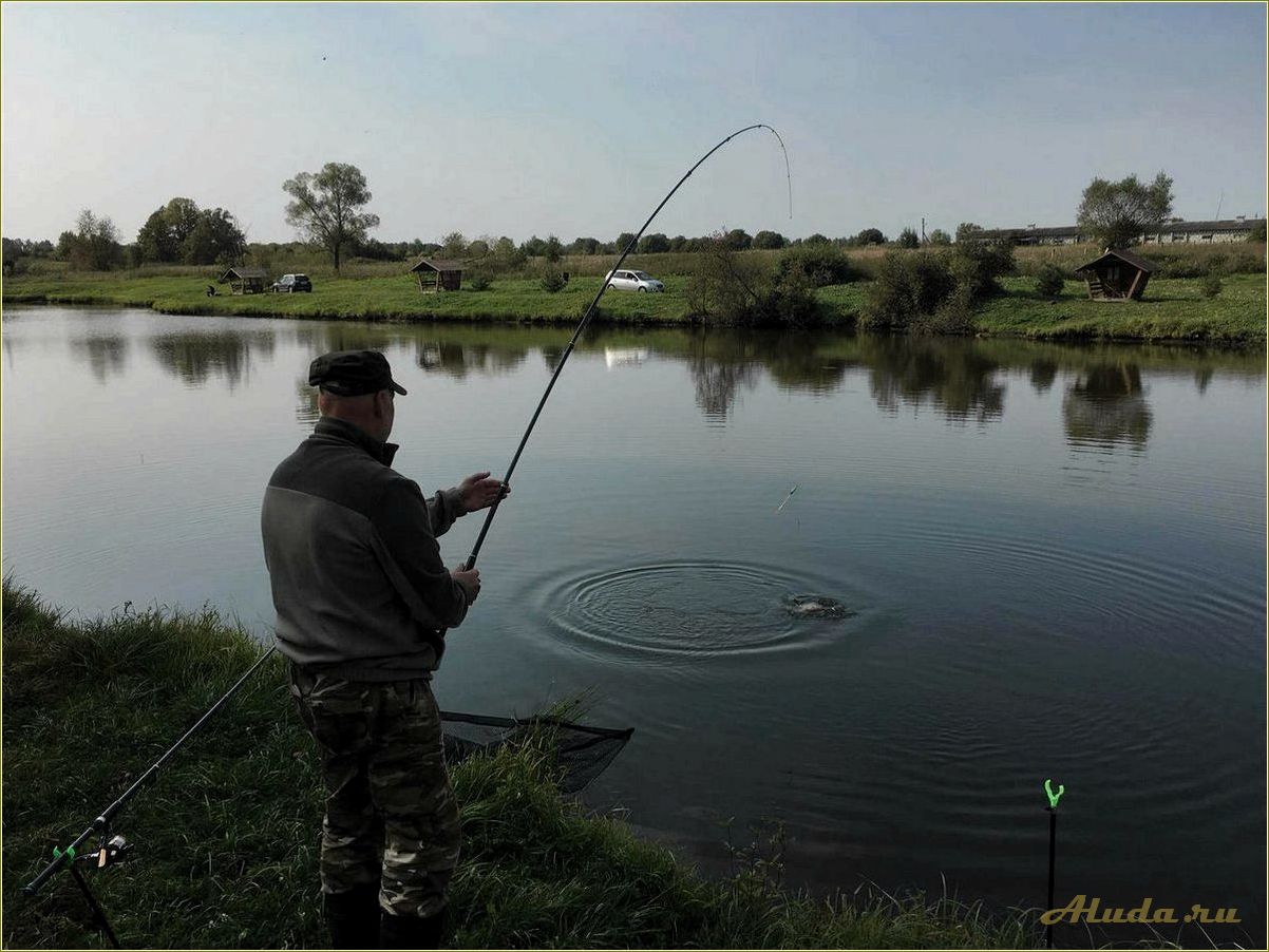 Отдых в Тульской области: лучшие места для рыбалки