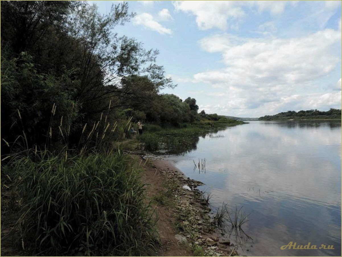 Отдых в Тульской области: лучшие места для рыбалки