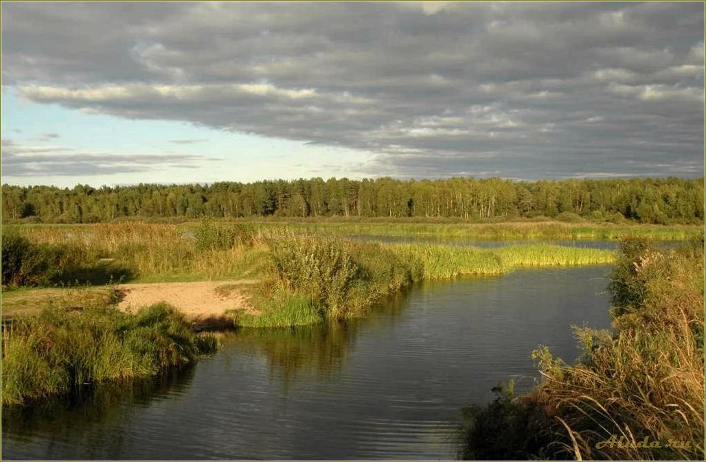 Отдых в Тверской области: Шоша — идеальное место для отдыха