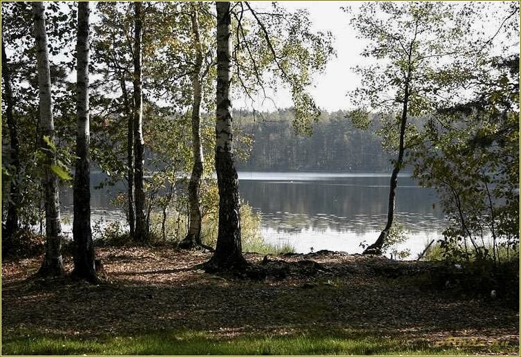 Отдых на мещерских озерах Рязанская область — насладитесь красотой природы и полным релаксом