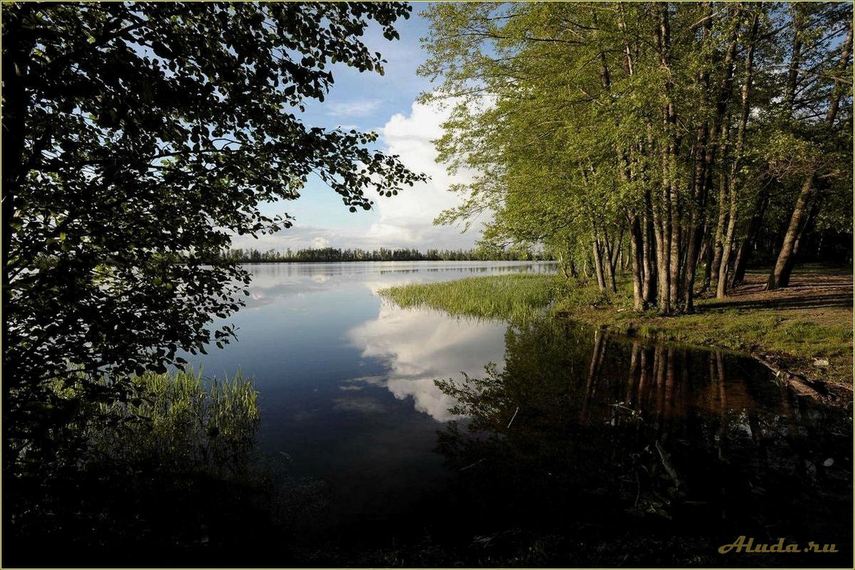 Отдых на мещерских озерах Рязанская область — насладитесь красотой природы и полным релаксом