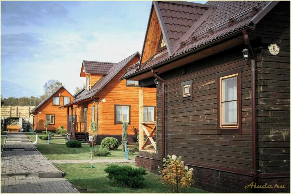 Сынтульская слобода Рязанская область — идеальная база отдыха для любителей природы и активного отдыха
