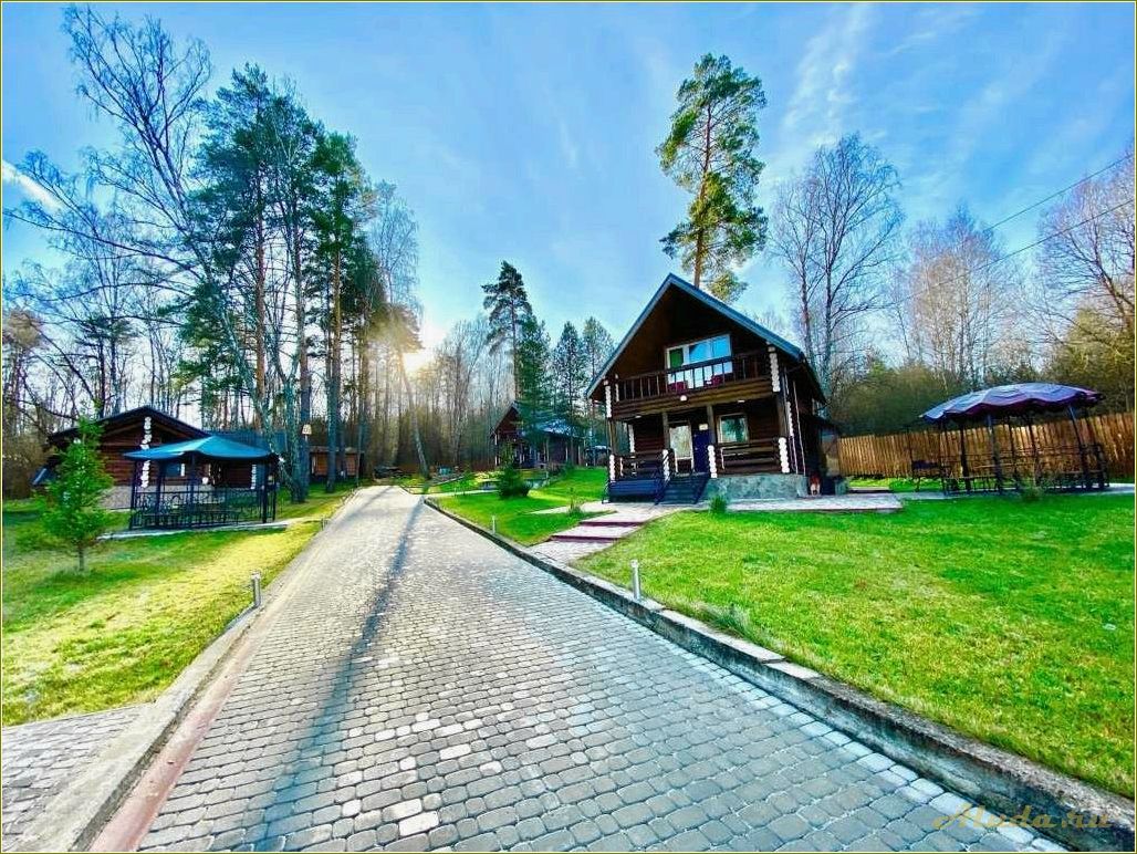Тульская область Заокский район: базы отдыха и возможности отдыха