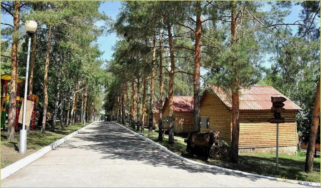 База отдыха Авангард в Саратовской области