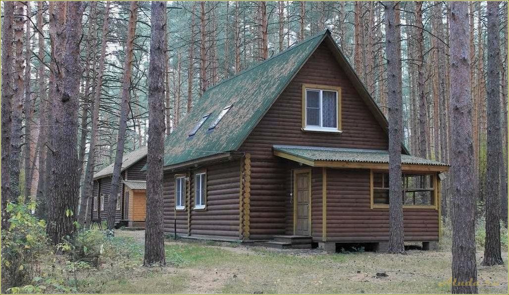 Идеальное место для романтического отдыха — база отдыха для двоих в живописной Рязанской области