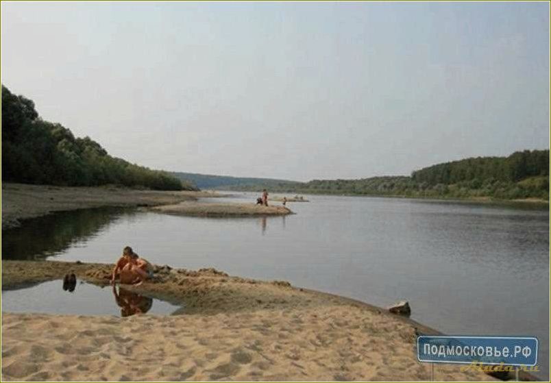 База отдыха в Тульской области у реки Ока