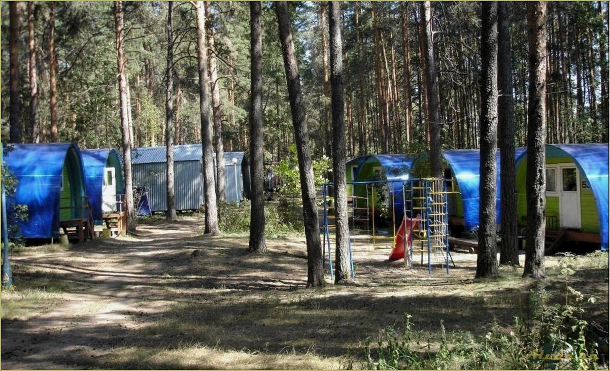 База отдыха на Волге в Тверской области: отличное место для отдыха на берегу реки Волга