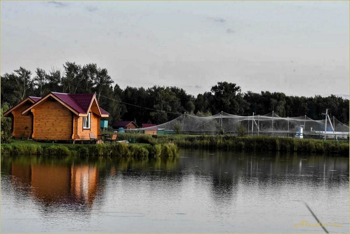 База отдыха в Заводоуковске Тюменской области: отличный выбор для отдыха и развлечений
