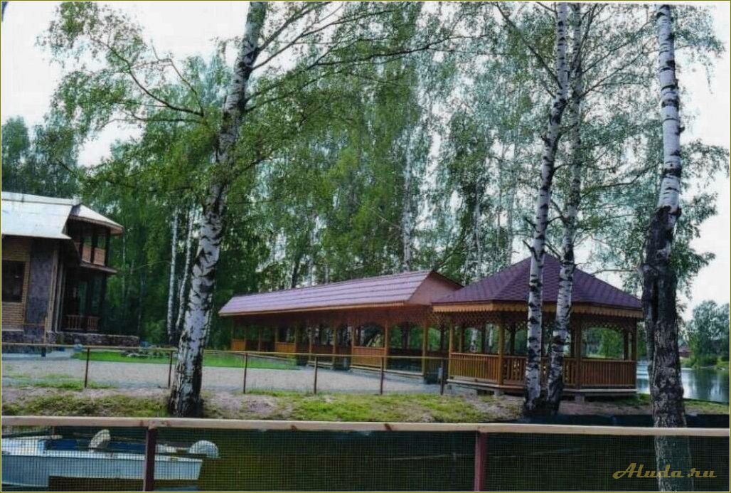 База отдыха Ермаки в Смоленской области: отдых на берегу реки Ермак