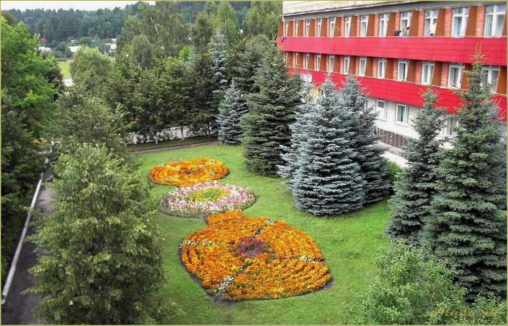 Лечение и отдых в Пензенской области — лучшие курорты, клиники и программы реабилитации