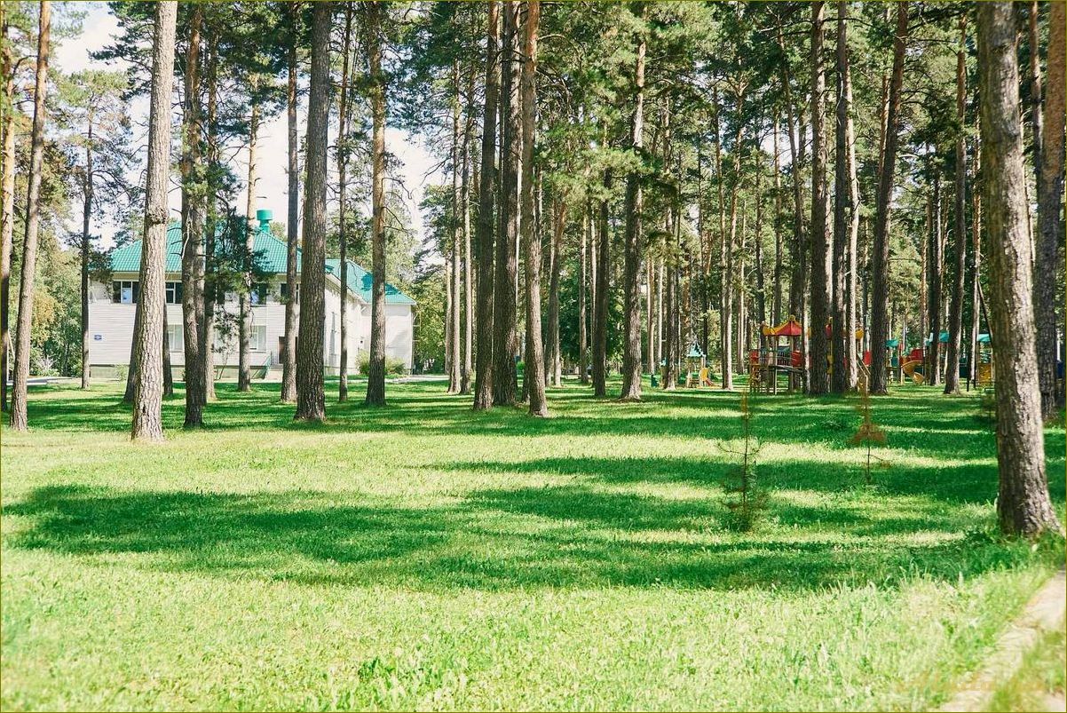 Уникальное мочище в Новосибирской области — идеальное место для отдыха и релаксации