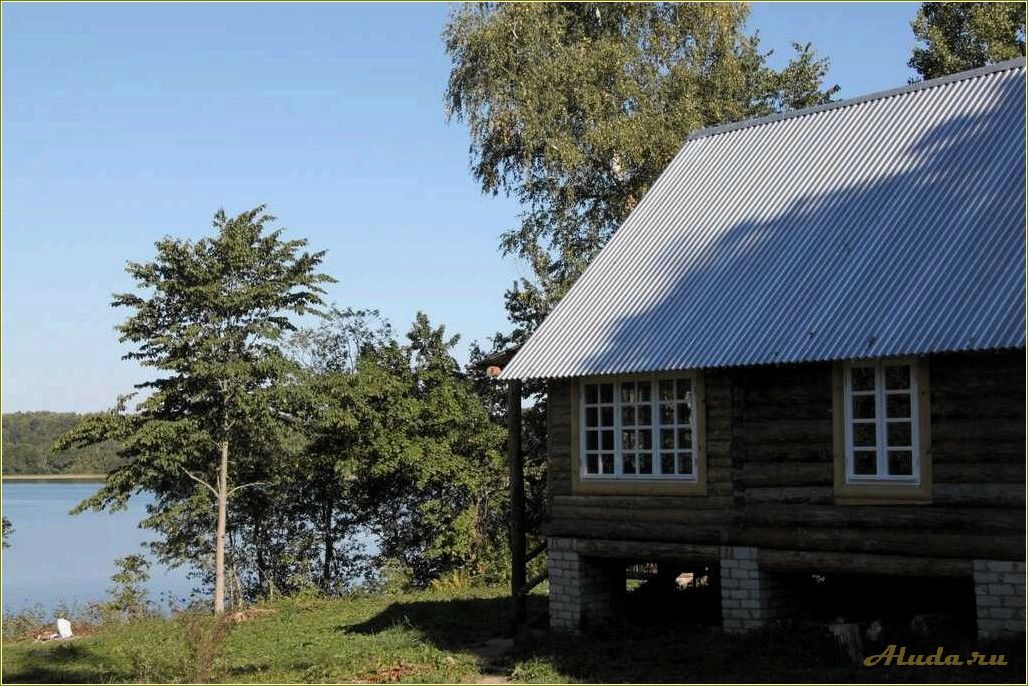 Полезные отзывы об отдыхе на Чудском озере в Псковской области — лучшие места и советы путешественников