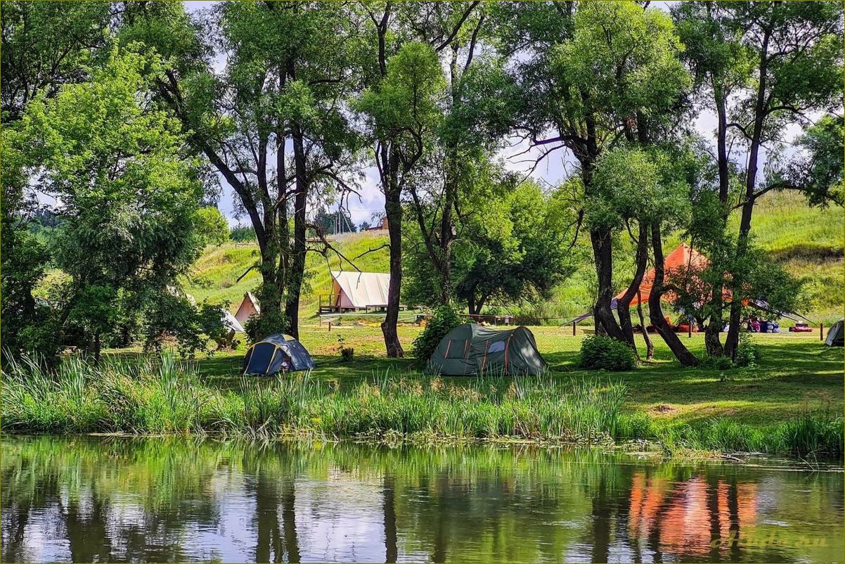 Летний отдых возле водоема дикарем в орловской области — лучшие места, развлечения и отели