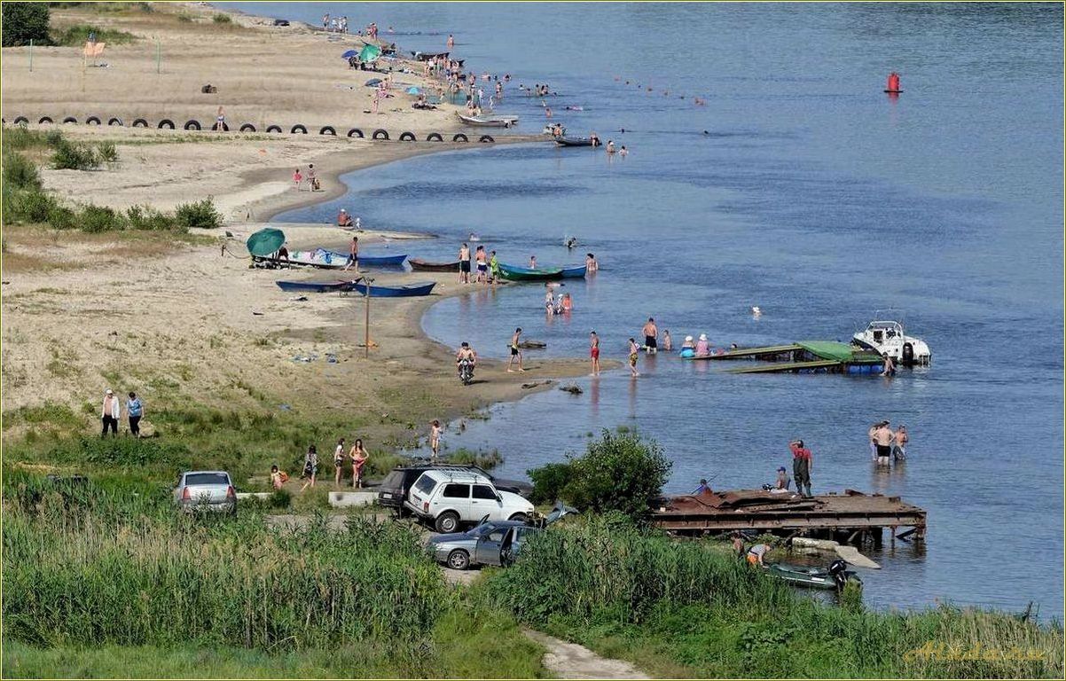 Вешки Ростовская область — лучшие базы отдыха для комфортного отдыха