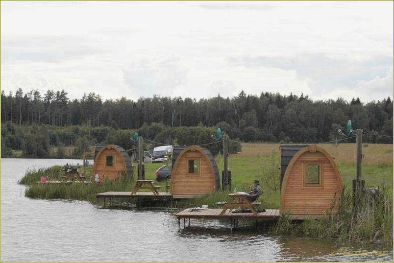Лучшие базы отдыха в Рязанской области для любителей рыбалки — где отдохнуть и поймать свою удачу