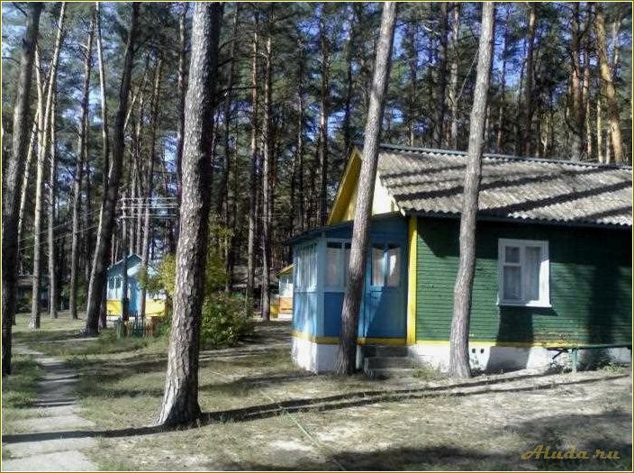 Агломазово — идеальная база отдыха в Рязанской области для всех любителей комфорта и активного времяпрепровождения