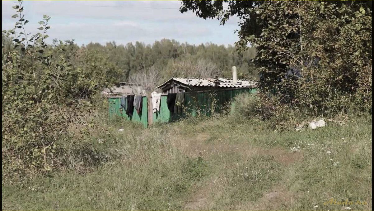 Антоновка — база отдыха для полного релакса в Новосибирской области