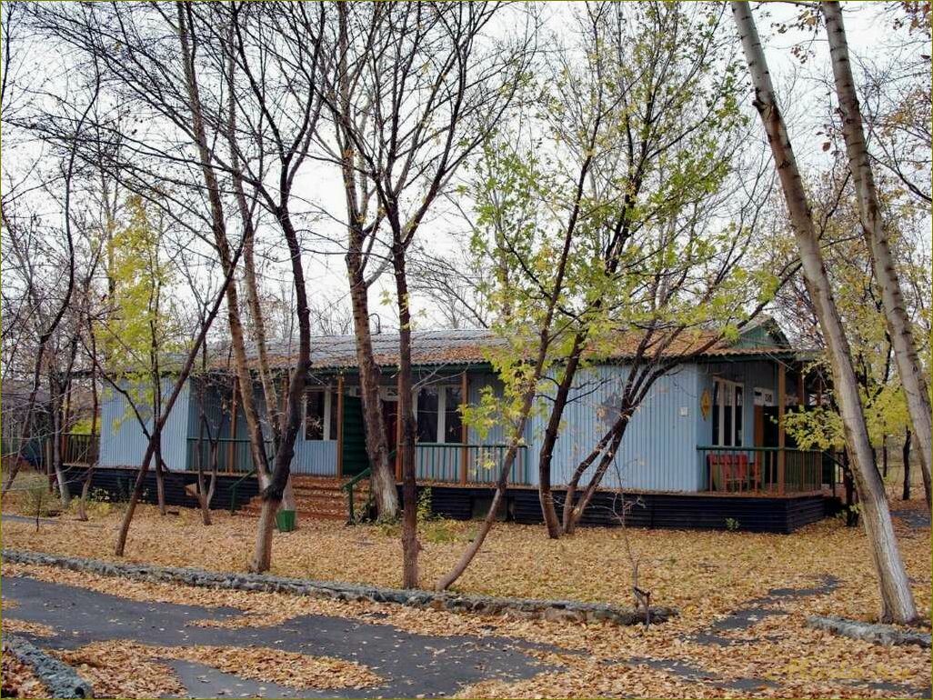 База отдыха в гае оренбургской области — уникальное место для релаксации и развлечений в живописной природной зоне