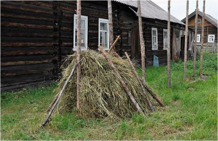 База отдыха пинежье амурская область