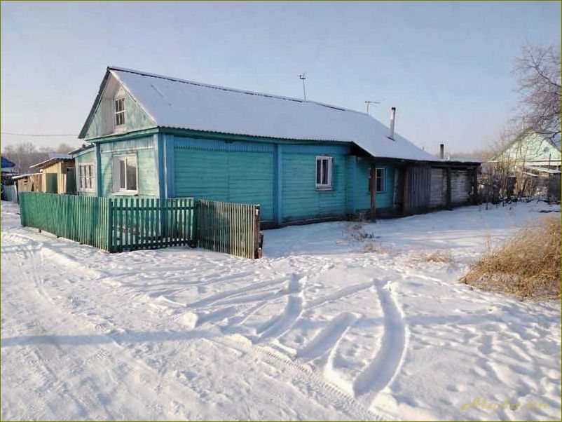 База отдыха в Тюкалинском районе Омской области — отличный выбор для семейного отдыха и активного времяпрепровождения