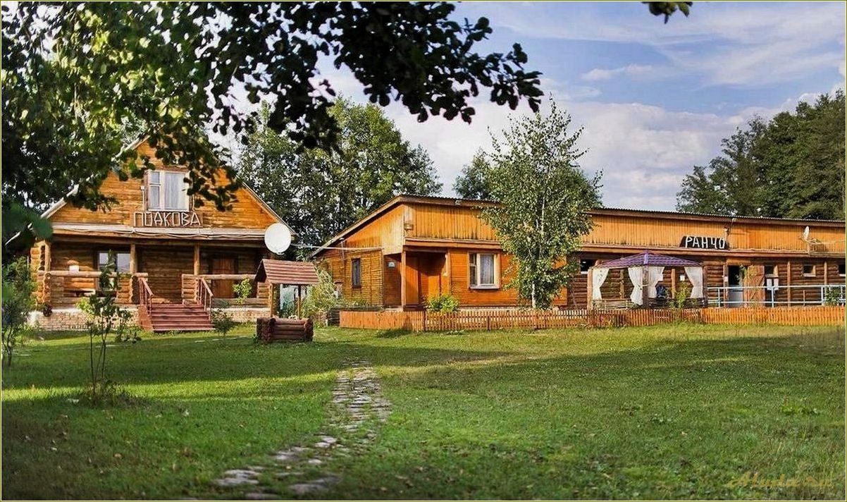 База отдыха в Золотаревке Пензенской области — идеальное место для отдыха и развлечений