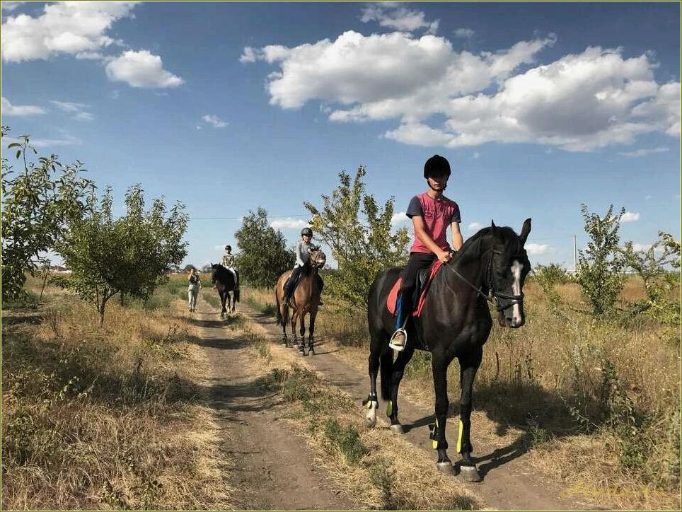 Базы отдыха ростовской области с возможностью верховой езды на лошадях