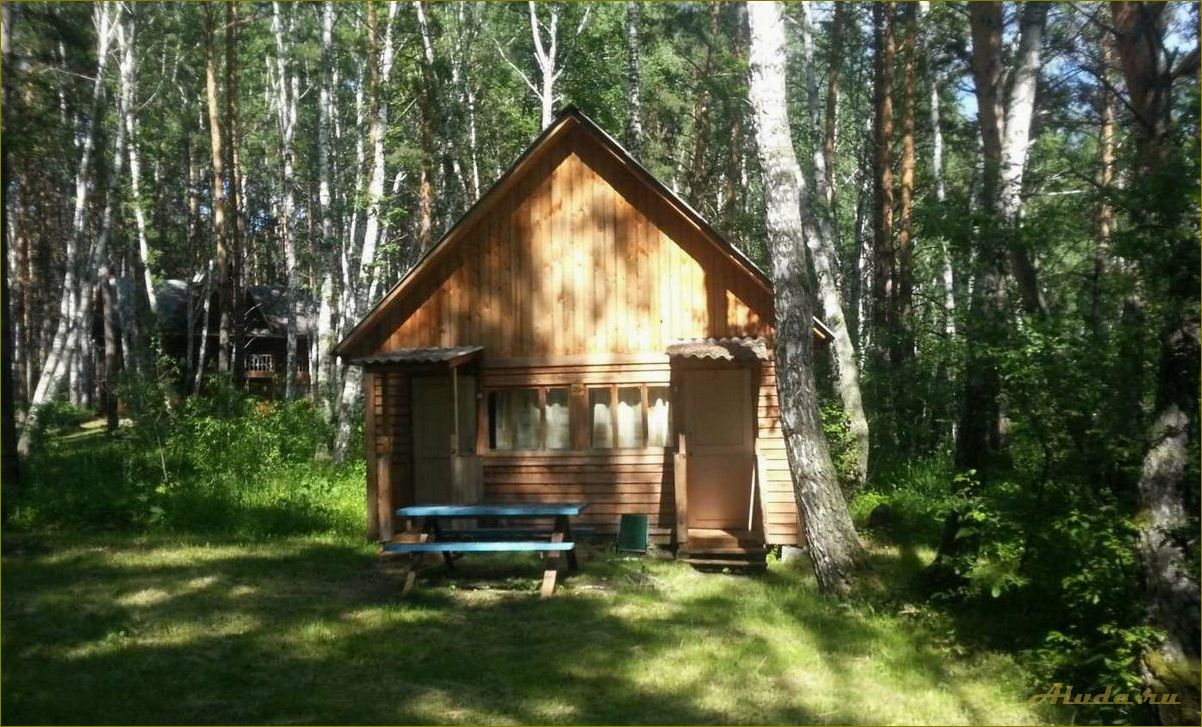 Базы отдыха в новосибирской области по доступной цене для вашего идеального отдыха