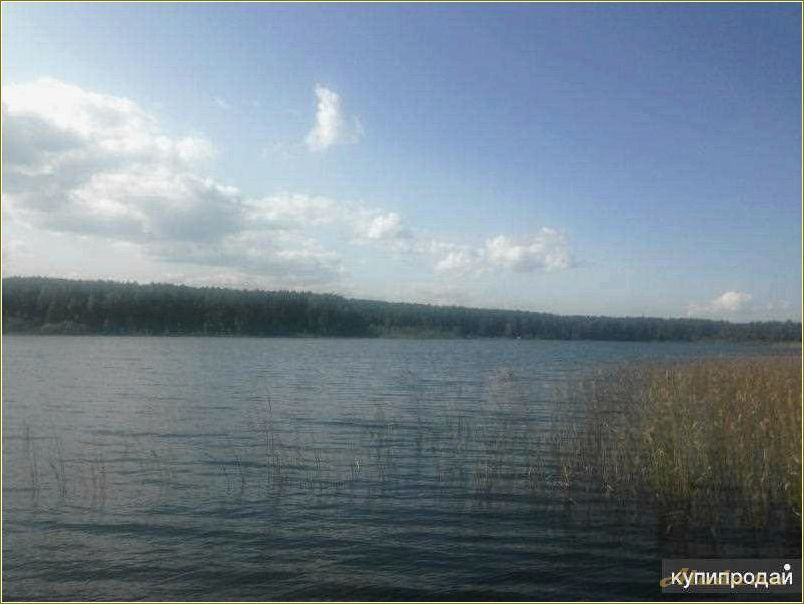 Лесицкое озеро — идеальное место для базы отдыха в Псковской области