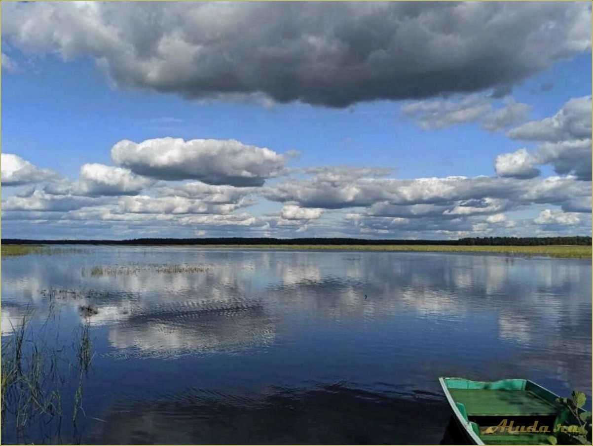 Отдых на водохранилищах Рязанской области — лучшие места для активного отдыха и релаксации