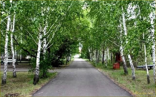База отдыха в Розовке Омской области — идеальное место для отдыха на природе